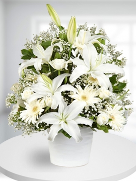 Beyaz Çiçek Tasarımı