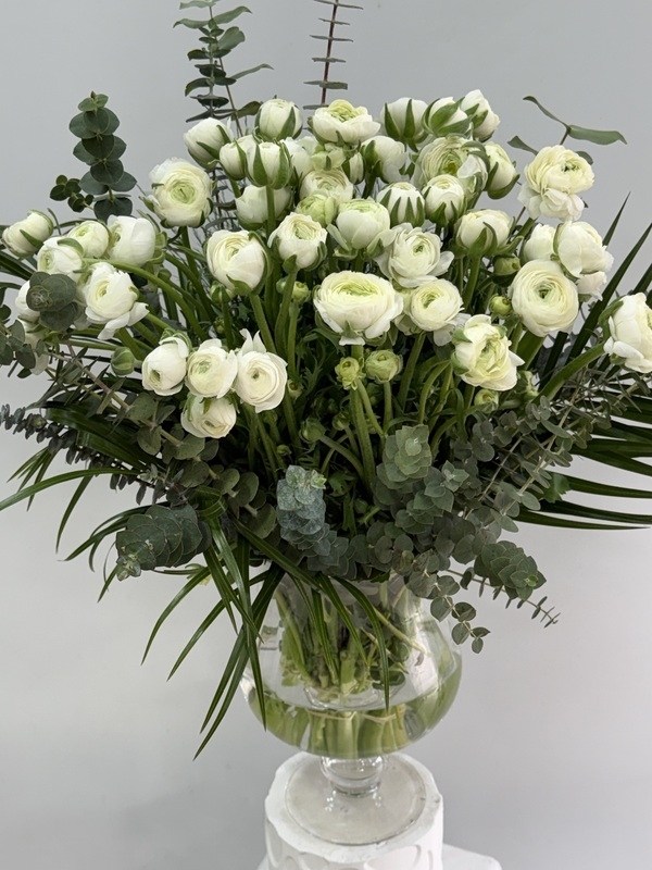 Vazoda 50 Beyaz Erengül